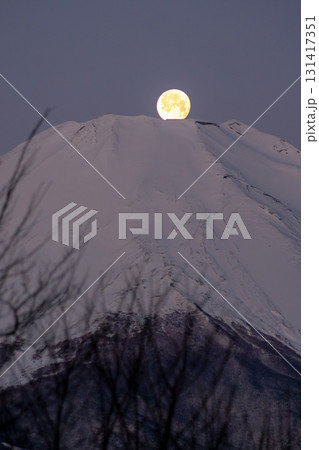 パール富士 パール富士 131417351