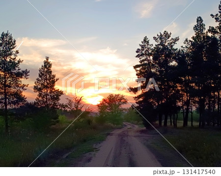 A forest path with trees and a sunset in the distance. Sunset in the forest. A forest path with trees and a sunset in the distance. Sunset in the forest. 131417540