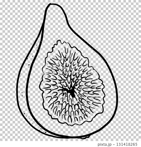 簡單的無花果線描 簡單的無花果線描 131418265