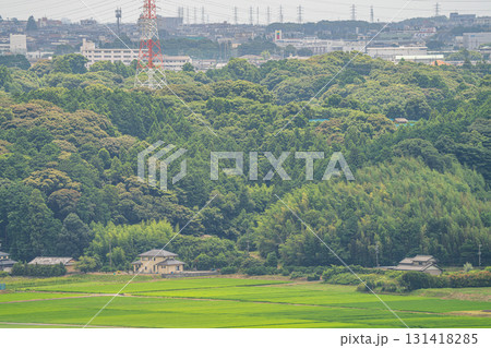 浜松市の街並み(静岡県) 浜松市の街並み(静岡県) 131418285