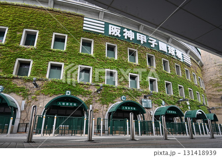 ツタの絡まる兵庫県 阪神甲子園球場 ツタの絡まる兵庫県 阪神甲子園球場 131418939