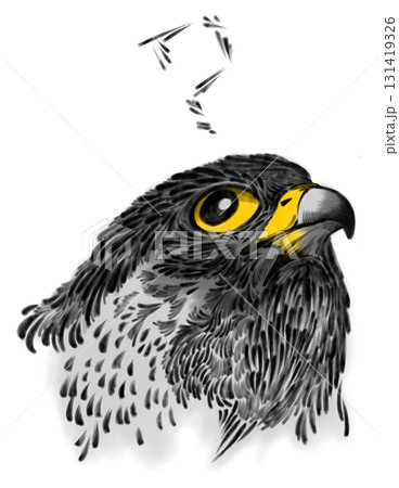 A digital painted picture of the doubt Peregrine Falcon A digital painted picture of the doubt Peregrine Falcon 131419326