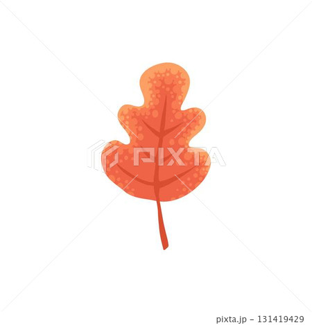 Autumn element. Leaves, acorn, chestnut and berry. Yellow, orange and red, green tree foliage fall season, harvest hand drawn elements. Vector illustration Autumn element. Leaves, acorn, chestnut and berry. Yellow, orange and red, green tree foliage fall season, harvest hand drawn elements. Vector illustration 131419429