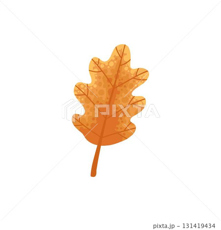 Autumn element. Leaves, acorn, chestnut and berry. Yellow, orange and red, green tree foliage fall season, harvest hand drawn elements. Vector illustration 131419434