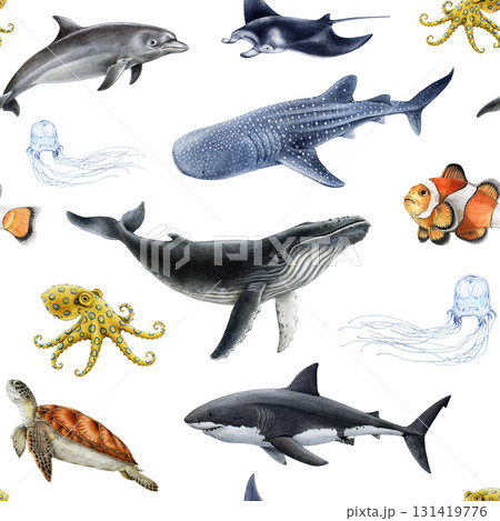 Australia sea life animals on white background seamless pattern element. Hand drawn great white shark, whale shark, humpback whale, green turtle manta ray watercolor vintage style illustration Australia sea life animals on white background seamless pattern element. Hand drawn great white shark, whale shark, humpback whale, green turtle manta ray watercolor vintage style illustration 131419776