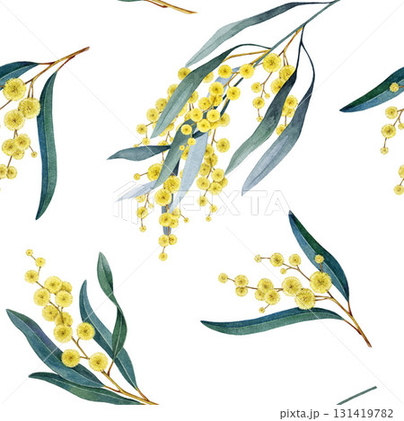 Golden wattle acacia flowers on white background seamless pattern. Australian native flora hand drawn watercolor illustration. Acacia pycnantha yellow flowers seamless pattern decorative element 131419782