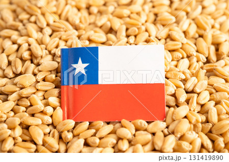 Grains wheat with Chile flag, trade export and economy. Australiaflag, trade export and economy. Grains wheat with Chile flag, trade export and economy. Australiaflag, trade export and economy. 131419890