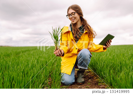A young farmer woman in a yellow raincoat inspects a healthy plant crop in a green field A young farmer woman in a yellow raincoat inspects a healthy plant crop in a green field 131419995