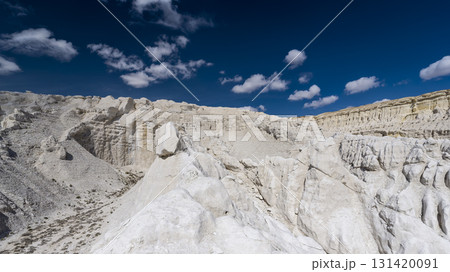カザフスタン・ウスチュルト台地 トゥズバイル塩湖の縁辺部 / Tuzbair, Kazakhstan カザフスタン・ウスチュルト台地 トゥズバイル塩湖の縁辺部 / Tuzbair, Kazakhstan 131420091