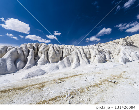 カザフスタン・ウスチュルト台地 トゥズバイル塩湖の縁辺部 / Tuzbair, Kazakhstan カザフスタン・ウスチュルト台地 トゥズバイル塩湖の縁辺部 / Tuzbair, Kazakhstan 131420094