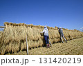 農村風景　イネの自然乾燥　小田掛け 美味しいお米　 131420219