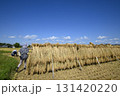 農村風景　イネの自然乾燥　小田掛け 美味しいお米　 131420220