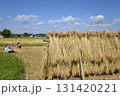 農村風景　イネの自然乾燥　小田掛け 美味しいお米　 131420221