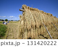 農村風景　イネの自然乾燥　小田掛け 美味しいお米　 131420222