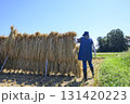 農村風景　イネの自然乾燥　小田掛け 美味しいお米　 131420223