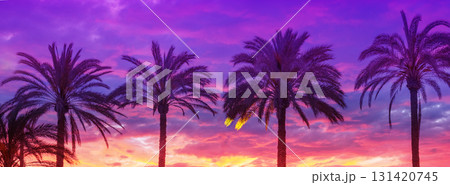 Row of tropical palm trees on the beach against the dramatic sunset sky. Silhouette of tall palm trees. Tropical evening landscape. Beautiful tropical nature Row of tropical palm trees on the beach against the dramatic sunset sky. Silhouette of tall palm trees. Tropical evening landscape. Beautiful tropical nature 131420745