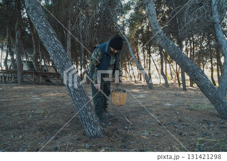 Man In The Woods Looking For Porcini Mushrooms With A Stick  131421298