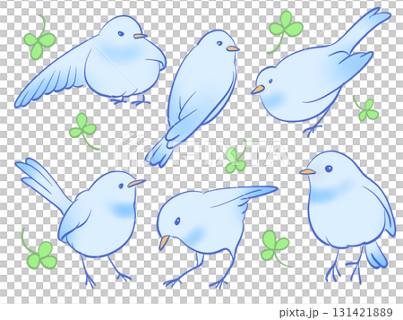 藍鳥套裝 131421889