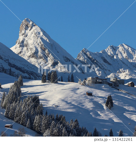 Peak of the Churfirsten Range in winter seen from Wildhaus, Toggenburg Valley, Switzerland. Peak of the Churfirsten Range in winter seen from Wildhaus, Toggenburg Valley, Switzerland. 131422261