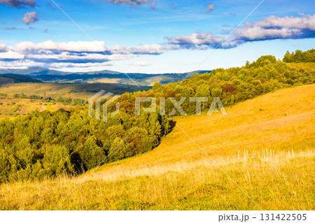 countryside mountain landscape in autumn. rural field on green hill. beautiful scenery with grassy meadow and forested slope in highland of ukraine under blue sky. scenic carpathian view in afternoon countryside mountain landscape in autumn. rural field on green hill. beautiful scenery with grassy meadow and forested slope in highland of ukraine under blue sky. scenic carpathian view in afternoon 131422505