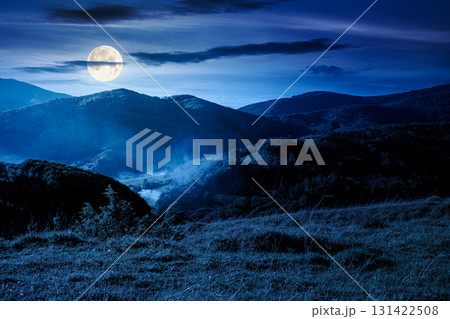 countryside mountain landscape in autumn at night. rural field on hills. beautiful scenery with grassy meadows and forested slopes in highland under blue sky. scenic view in full moon light 131422508