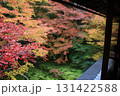 瑠璃光院、庭園の庭を彩る紅葉 131422588
