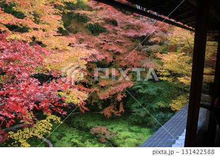 瑠璃光院、庭園の庭を彩る紅葉 131422588