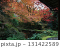 瑠璃光院、庭園の庭を彩る紅葉 131422589