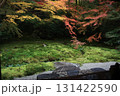 瑠璃光院、庭園の庭を彩る紅葉 131422590