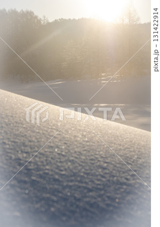 放射冷却で森に降りた霜（恩原高原周辺） 131422914