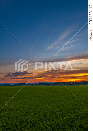 田園夕景 田園夕景 131423119