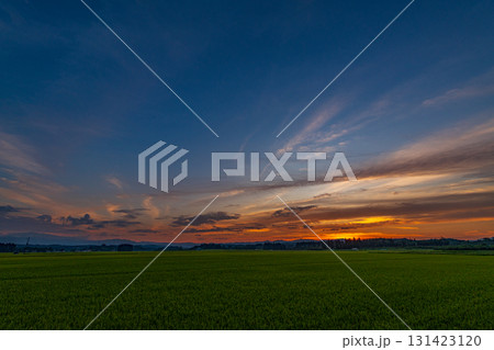 田園夕景 田園夕景 131423120