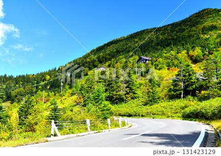 長野県側より横手山方面を望む(長野県山ノ内町)【2025.9】 131423129