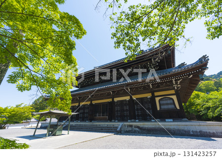 京都 南禅寺の法堂と新緑 京都 南禅寺の法堂と新緑 131423257