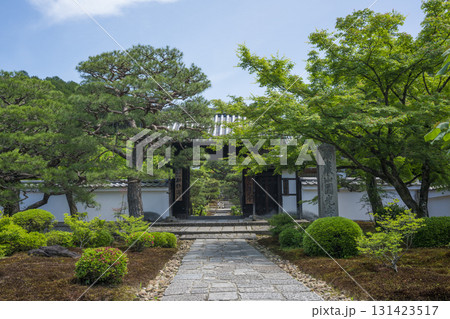 京都 圓光寺の新緑 京都 圓光寺の新緑 131423517