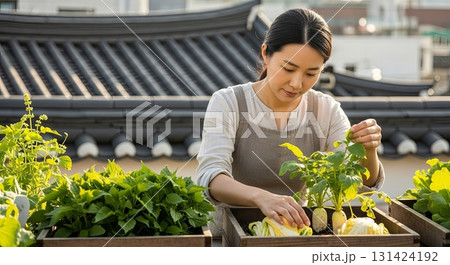 Asian woman in beige apron carefully tending to vegetable seedlings in wooden planter boxes on traditional Korean rooftop garden with curved tile roof architecture 131424192
