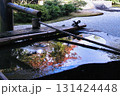 水面に映る紅葉 131424448