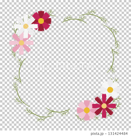 Elegant design frame of cosmos flowers and leaves Elegant design frame of cosmos flowers and leaves 131424484