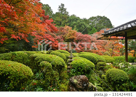 紅葉色付く秋の詩仙堂丈山寺 日本庭園 131424491