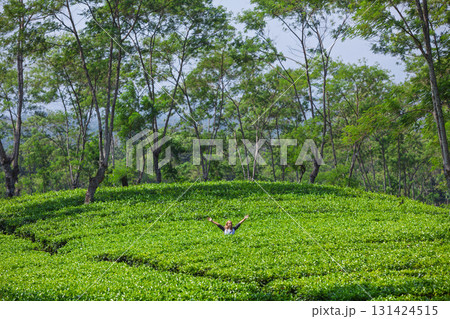 Young woman stands with outstretched arms in the middle of lush green tea plantations, surrounded by tall trees. This vibrant image captures freedom, eco-tourism, and travel in asian tropical nature. Young woman stands with outstretched arms in the middle of lush green tea plantations, surrounded by tall trees. This vibrant image captures freedom, eco-tourism, and travel in asian tropical nature. 131424515
