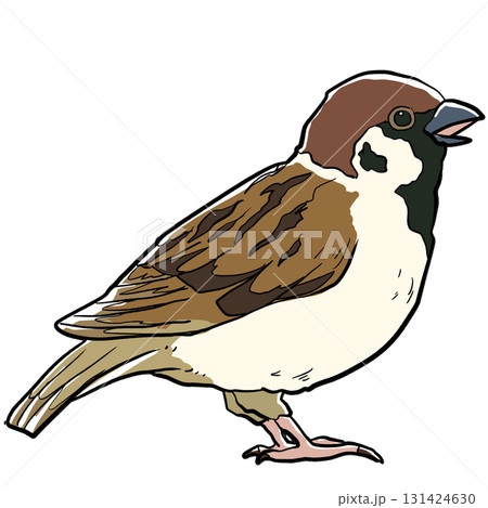 リアルめな野鳥のスズメ 131424630