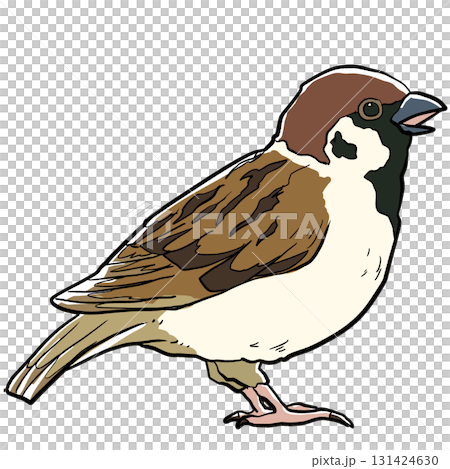 一隻逼真的野生麻雀 131424630