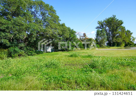 北村中央公園(ヘラブナ広場)の近く 北村中央公園(ヘラブナ広場)の近く 131424651