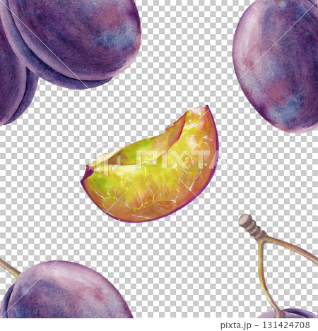 Watercolor seamless drawing with ripe plums and twigs, whole and cut into slices, on a white background. Botanical illustration of fruits for textiles, tableware or packaging. Watercolor seamless drawing with ripe plums and twigs, whole and cut into slices, on a white background. Botanical illustration of fruits for textiles, tableware or packaging. 131424708