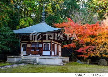 紅葉に彩られた善能寺 131424729