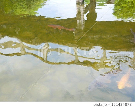 水 水分 ウォーター 131424878