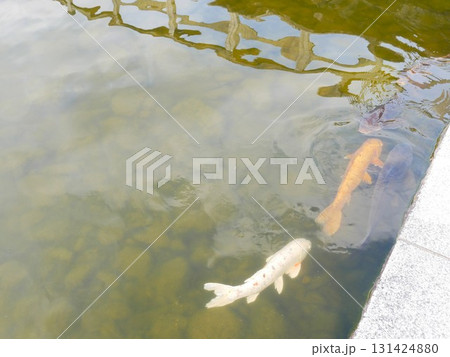 水 水分 ウォーター 131424880