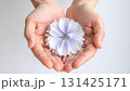 手のひらに乗せた花 131425171