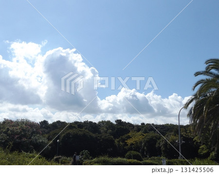 稲毛海浜公園の青空と白い雲 稲毛海浜公園の青空と白い雲 131425506