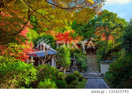 紅葉に彩られた来迎院 紅葉に彩られた来迎院 131425743